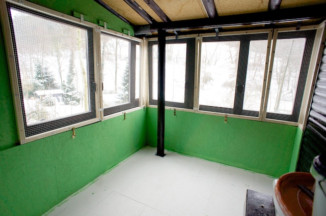 Das Vogelzimmer nimmt Farbe an - Unser Haus am See