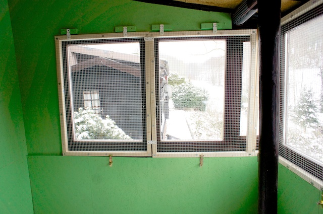 Das Vogelzimmer nimmt Farbe an - Unser Haus am See